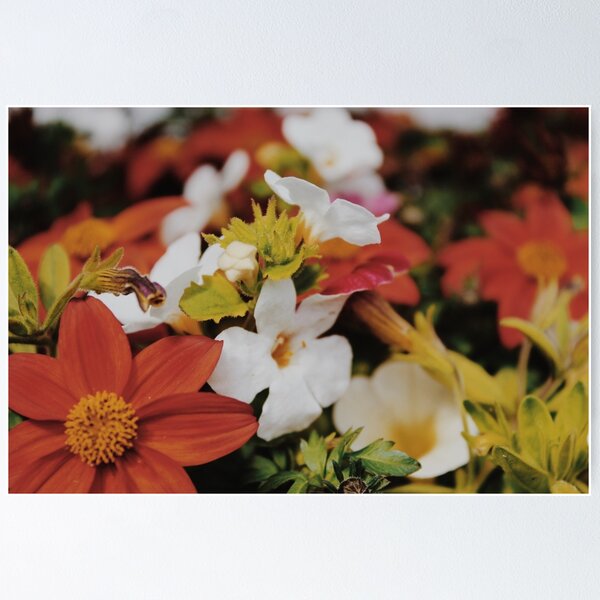 Item preview, Assorted Warm Toned Flowers designed and sold by designsbyad.