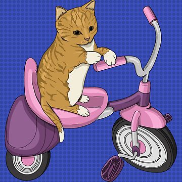 Cat tricycle sales