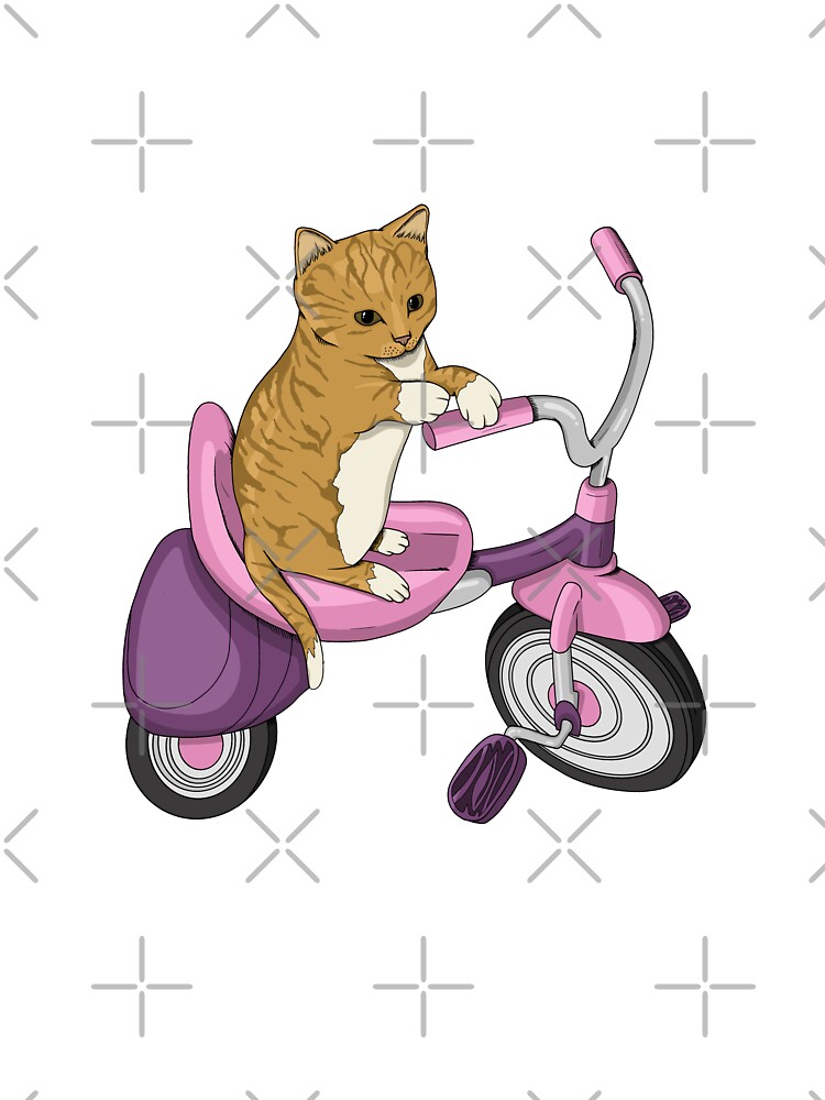 Cat tricycle store