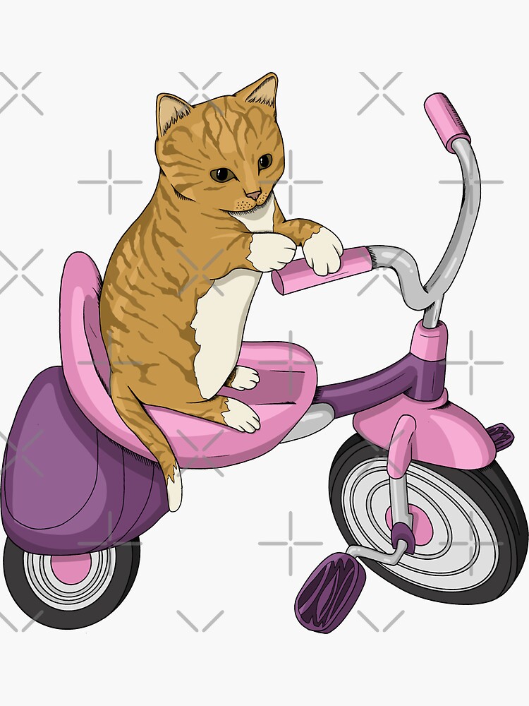 "Cat on a tricycle" Sticker for Sale by tsfea Redbubble