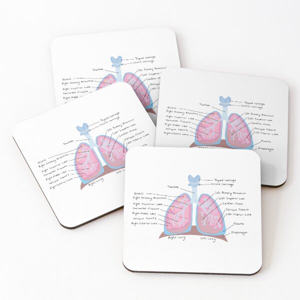 Human Lungs Coasters (Set of 4)