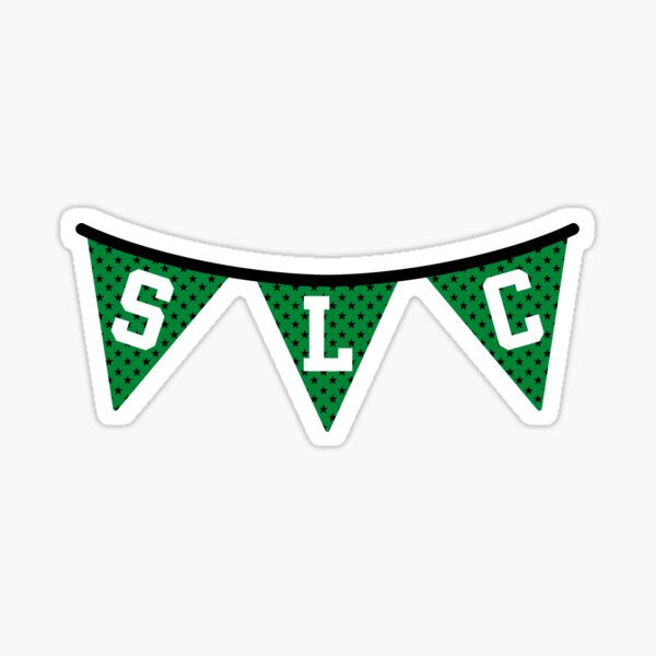  Desert Cactus Saint Louis University Flag Billikens