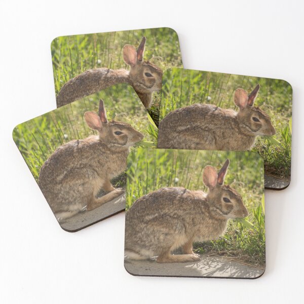 Item preview, Sleepy Bunny Having a Snack designed and sold by TinyCameraNinja.