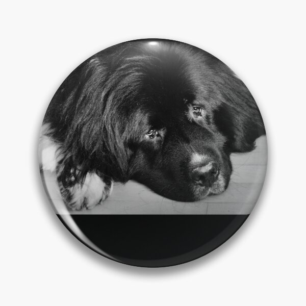Item preview, Newfoundland dog designed and sold by Laurie Minor.