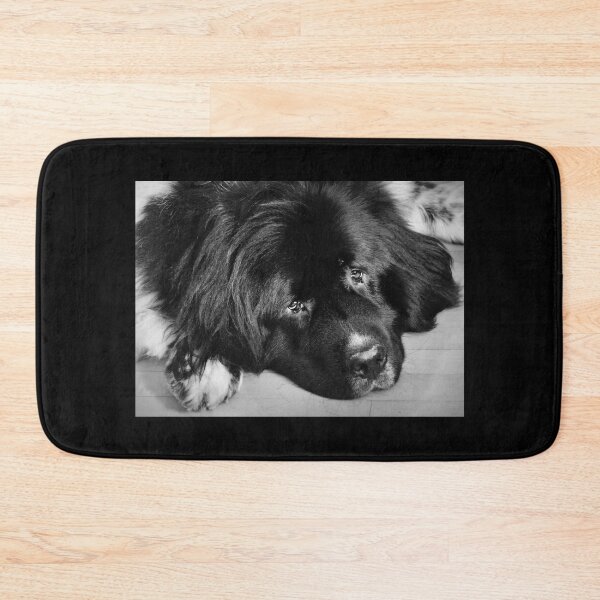 Item preview, Newfoundland dog designed and sold by Laurie Minor.