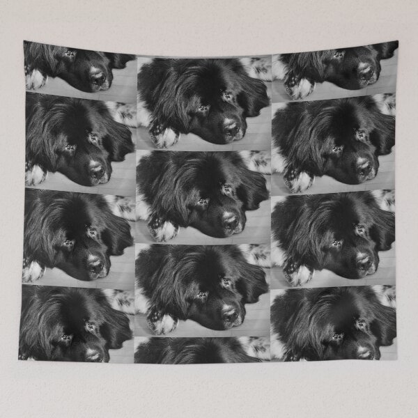 Item preview, Newfoundland dog designed and sold by Laurie Minor.