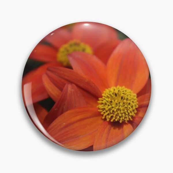 Item preview, Orange Chrysanthemum Flowers designed and sold by designsbyad.