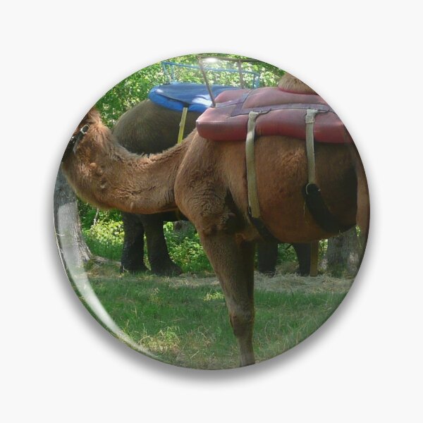 Item preview, A Different Way to Travel designed and sold by JoeyD-Stabbie.