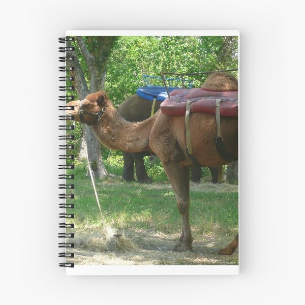 Item preview, A Different Way to Travel designed and sold by JoeyD-Stabbie.