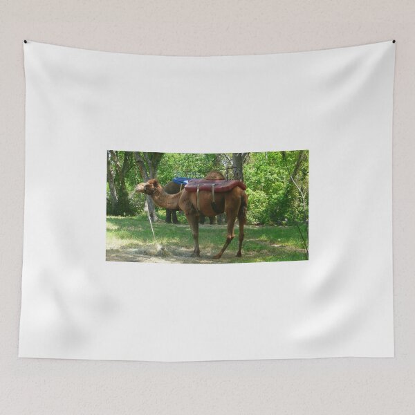Item preview, A Different Way to Travel designed and sold by JoeyD-Stabbie.