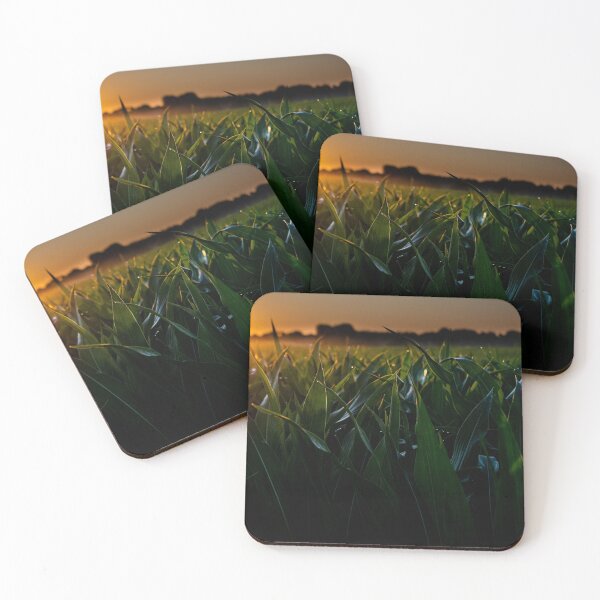 Item preview, Early Morning Corn designed and sold by JmanInABox.