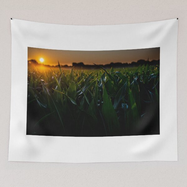 Item preview, Early Morning Corn designed and sold by JmanInABox.