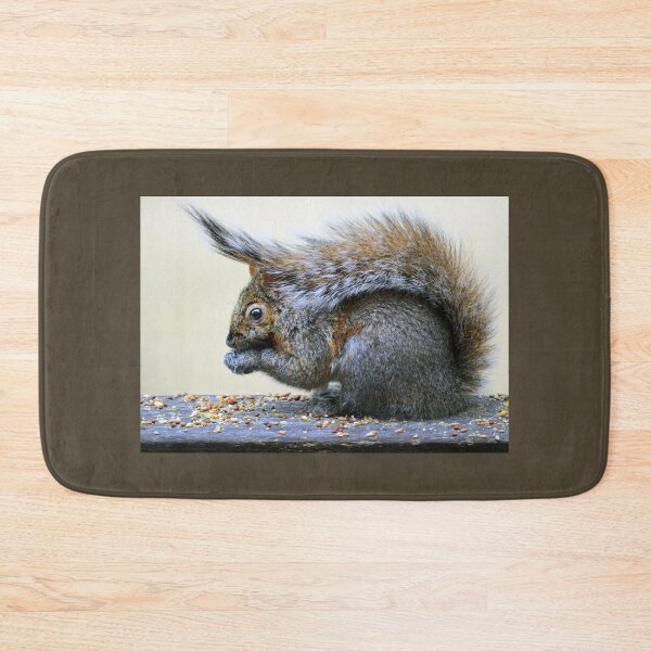 Item preview, Squirrel's hat designed and sold by Laurie Minor.