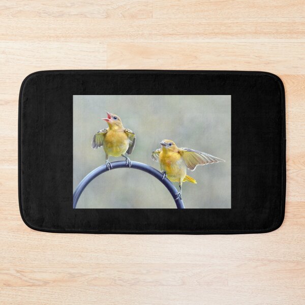 Item preview, Oriole Fledglings designed and sold by Laurie Minor.