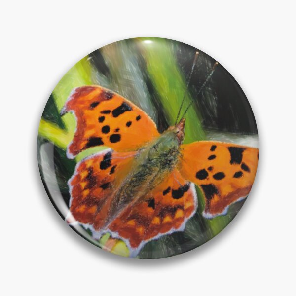 Question Mark Butterfly Pin