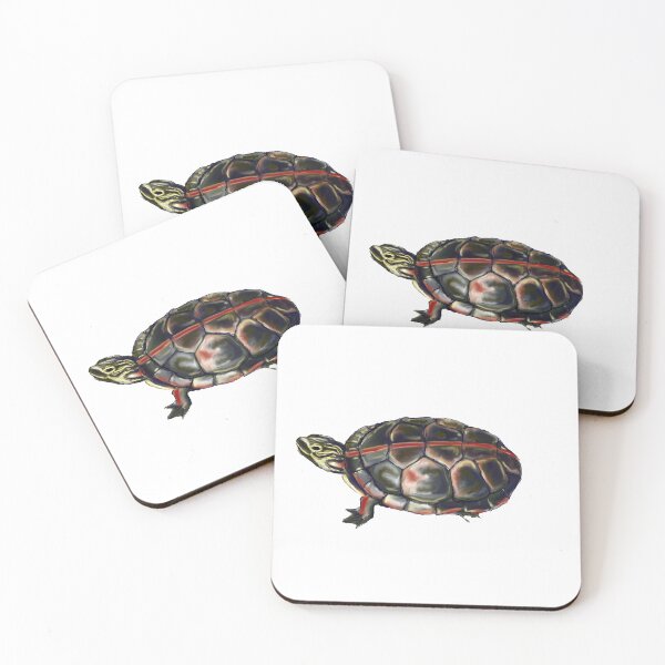 Item preview, Painted Turtle designed and sold by Hannah Curran.