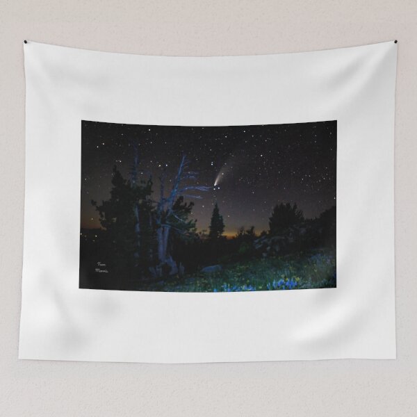 Item preview, Comet in a Wonderland designed and sold by Monkeypawsoup.