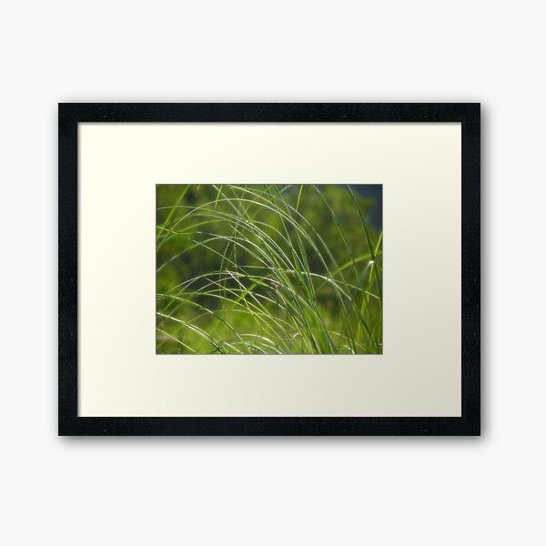 Lying low on a hot & humid day I Framed Art Print