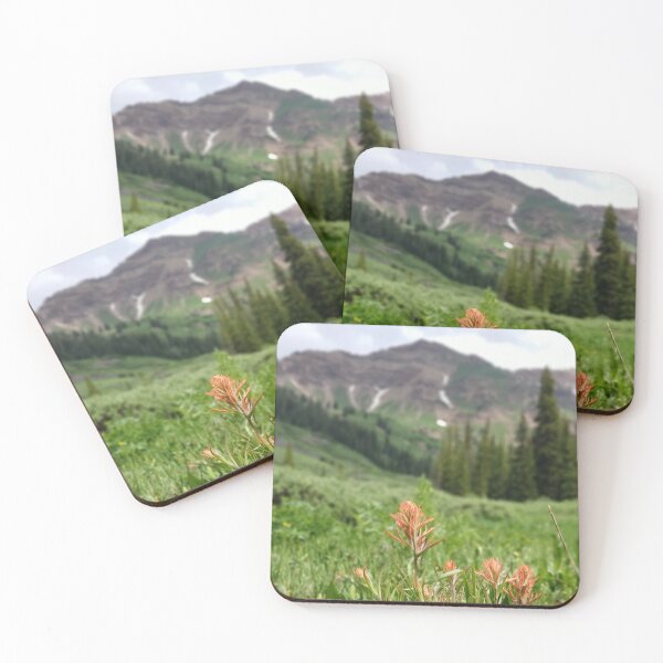 Item preview, Indian Paintbrush Flower designed and sold by hurleygirlie333.