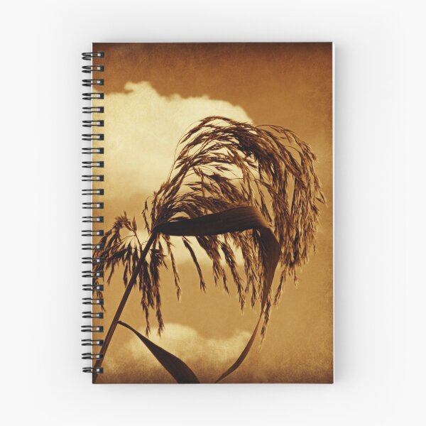 Item preview, Grain In Sepia designed and sold by Diane Arndt.