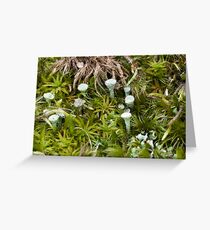 Golf Tees? Greeting Card