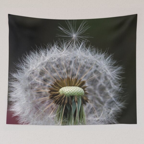 Item preview, Dandelion Fluff Ready To Fly designed and sold by TJFox.