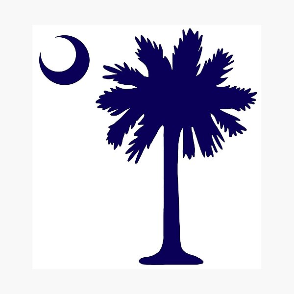 south-carolina-palm-tree-and-crescent-moon-stencil