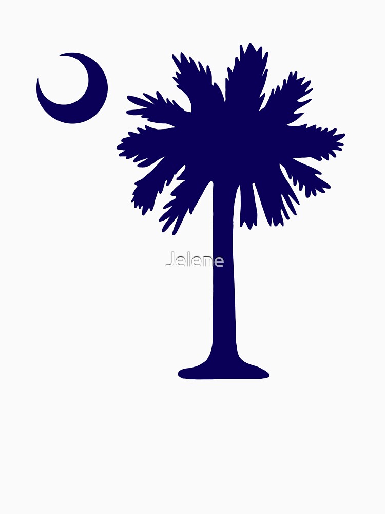 Palmetto Moon, Isle of Palms, South Carolina, Solid-Faced Canvas Print