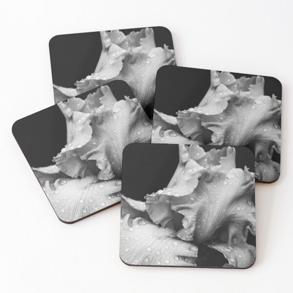Item preview, Rain Kissed Iris In Black & White designed and sold by TJFox.
