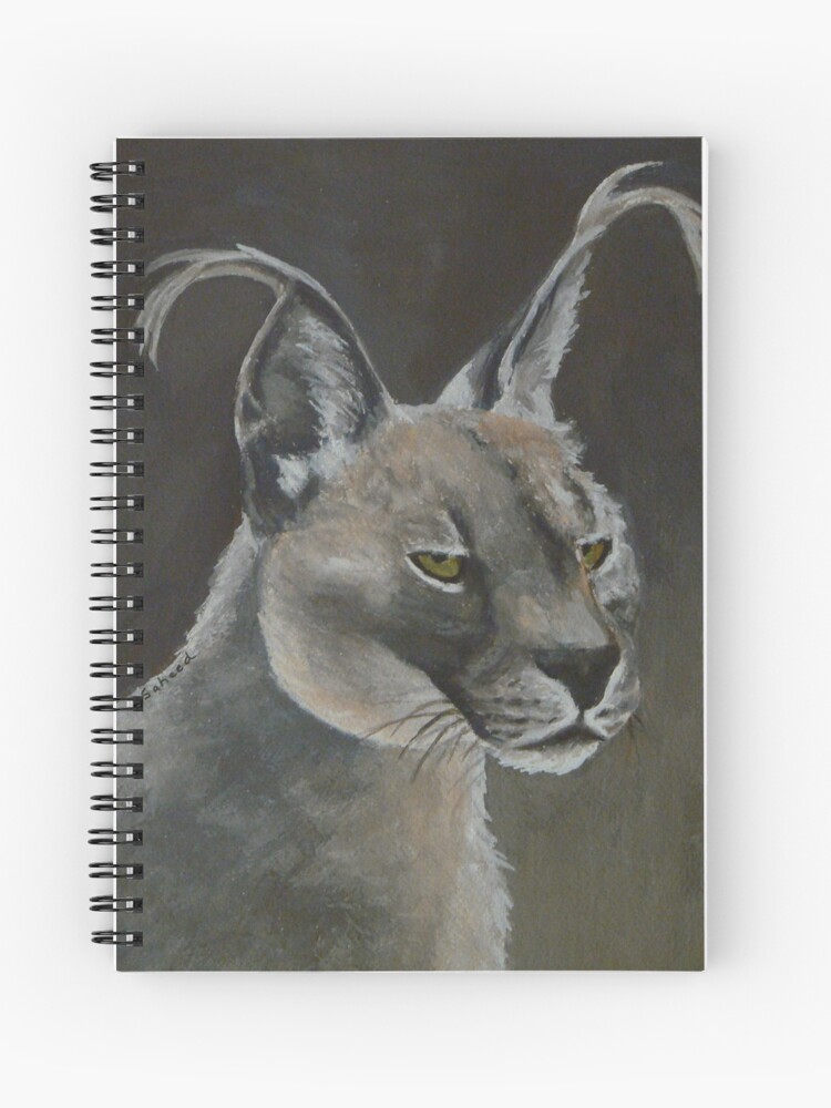 caracal cat for sale in india