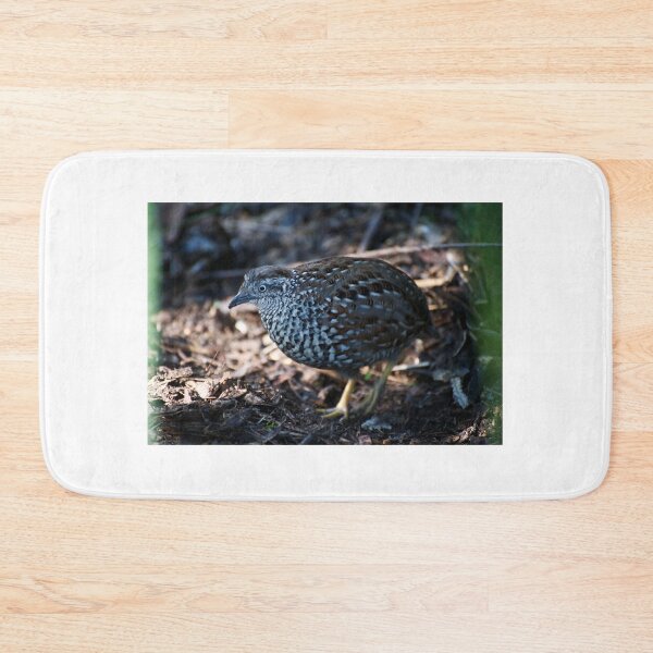 Item preview, Button Quail designed and sold by GP1746.