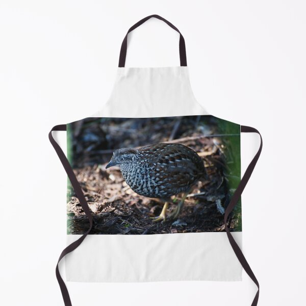 Item preview, Button Quail designed and sold by GP1746.