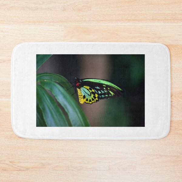Item preview, Colour On The Wing designed and sold by GP1746.