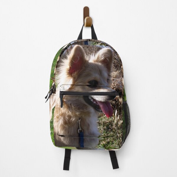 Item preview, Yes, Pickles is His Name. designed and sold by CarolLeesArt.