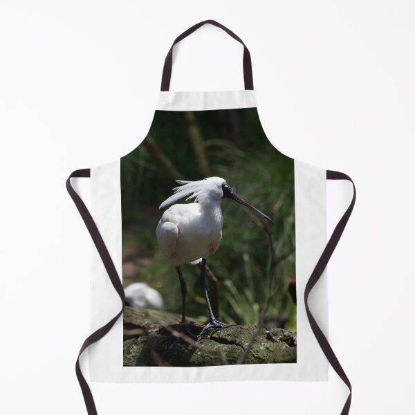 Item preview, Look At Me designed and sold by GP1746.