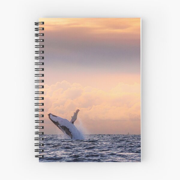 Item preview, Breaching Whale designed and sold by Jarrod Vero.