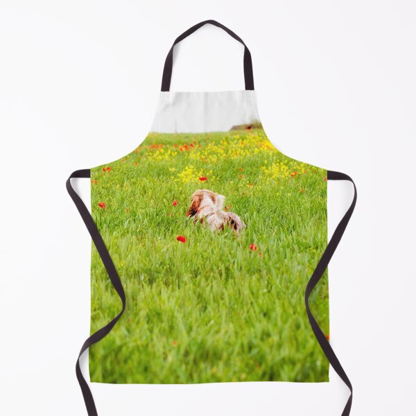 Item preview, You belong somewhere you feel free Spinone designed and sold by FOLK ART FUSION by heidiannemorris.