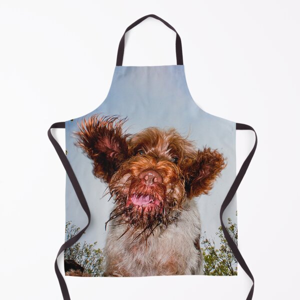Item preview, Hello down there! Spinone by heidiannemorris designed and sold by FOLK ART FUSION by heidiannemorris.