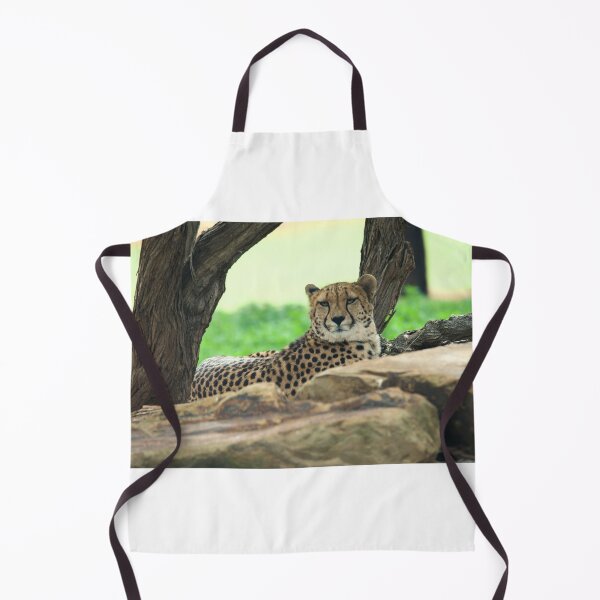 Item preview, Cheetah On The Rocks designed and sold by GP1746.