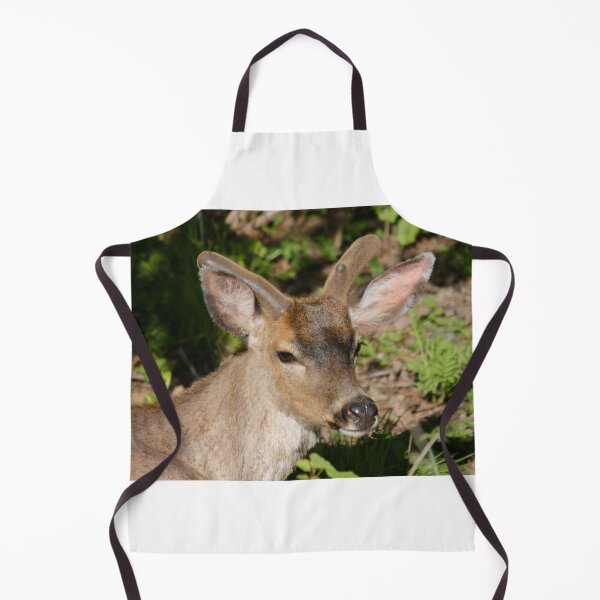 Item preview, Blacktail Buck in the Spring... designed and sold by RichImage.
