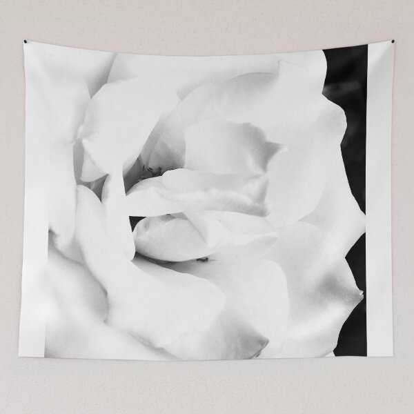 Item preview, A Rose in Black and White designed and sold by CLManey.