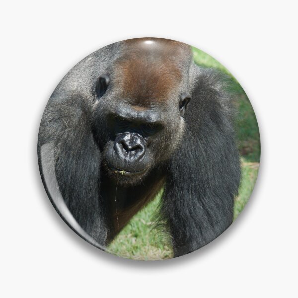 Item preview, Hello Handsome designed and sold by GP1746.