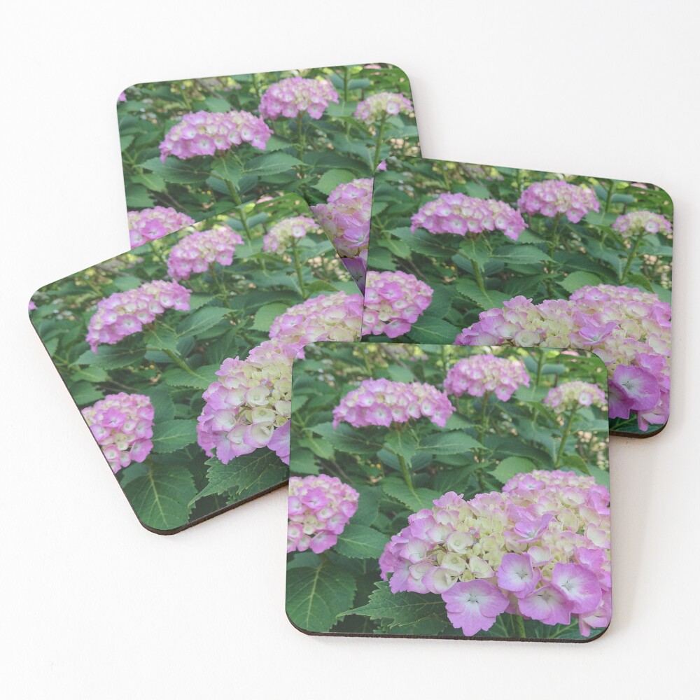 Item preview, Coasters (Set of 4) designed and sold by supernut.