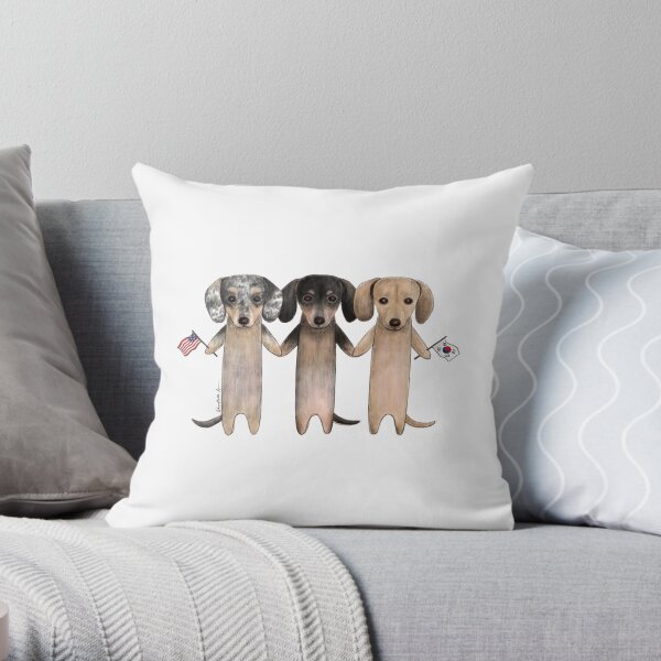 R3 Throw Pillow
