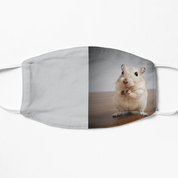 Gerbil Waiting Mask