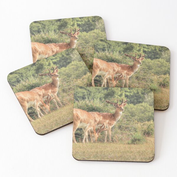 Item preview, Two Fallow deer designed and sold by explorephotos.
