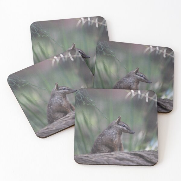 Item preview, Cheeky Numbat designed and sold by KaiydoRose.