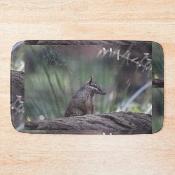 Item preview, Cheeky Numbat designed and sold by KaiydoRose.