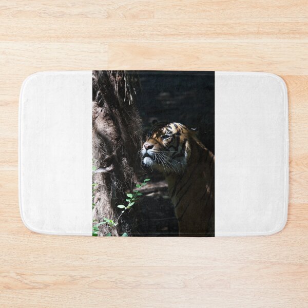 Artikelvorschau, Tiger verstecken entworfen und verkauft von GP1746.
