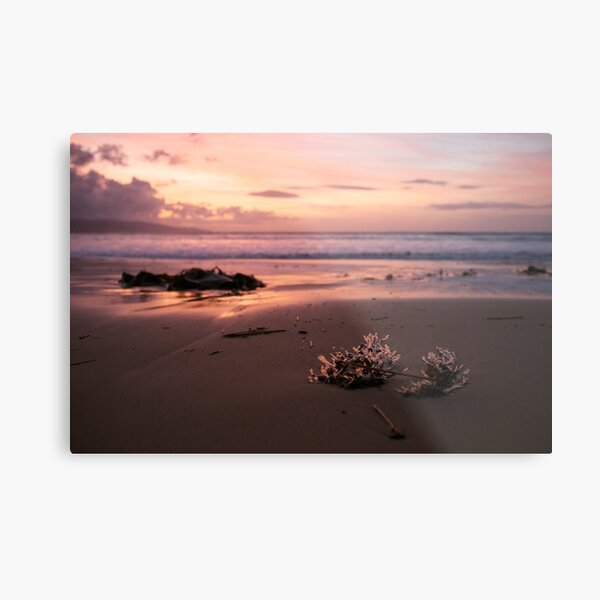 Sunrise in Apollo Bay Metal Print